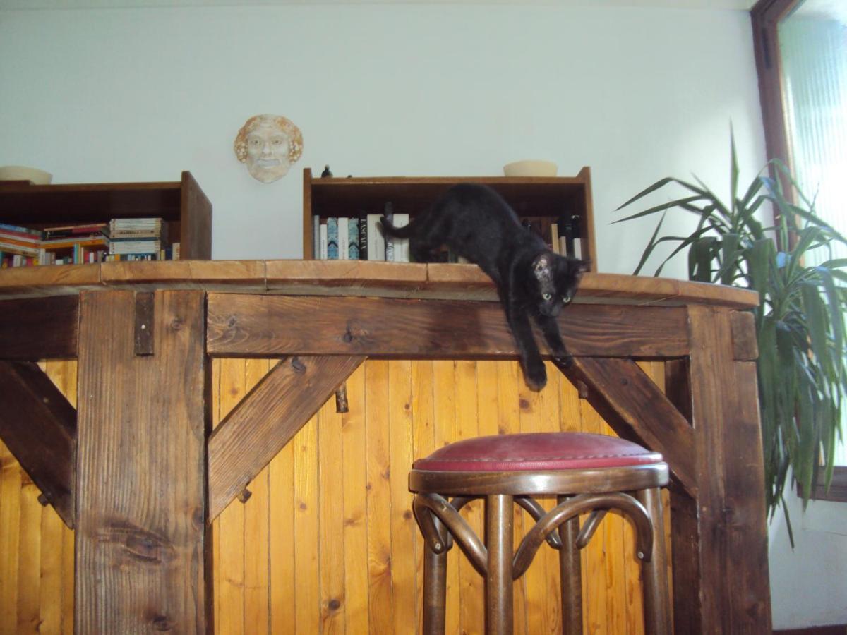 לינה וארוחת בוקר מונטיניאק El Gato Negro מראה חיצוני תמונה